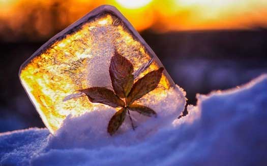 How Long Does it Take for Ice Cubes to Freeze