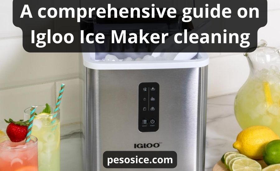 Igloo Ice Maker Cleaning : Top 5 Steps & Best Helpful Guide