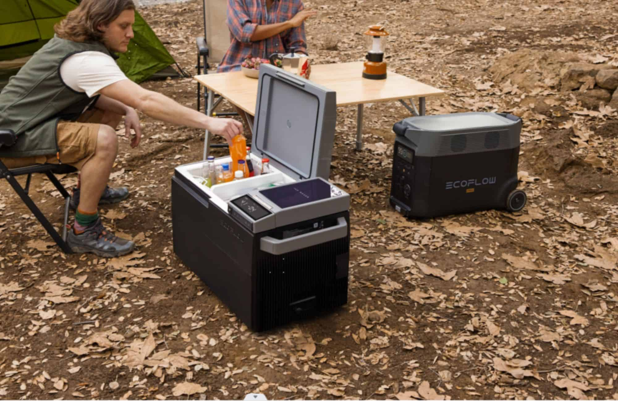 Freezer Progrid Best Off Grid Freezer: Instruction, Types, pros and cons in 2024