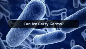 Can Ice Carry Germs?