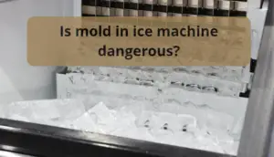 Is mold in ice machine dangerous?