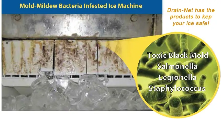 is mold in ice machine dangerous