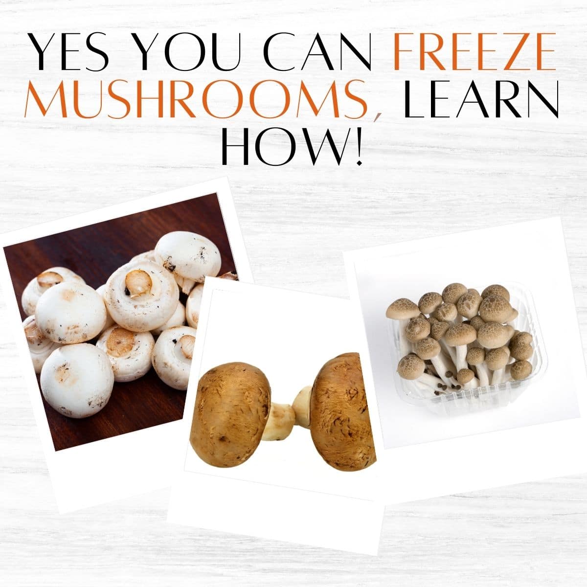 Can you freeze portobello mushrooms?