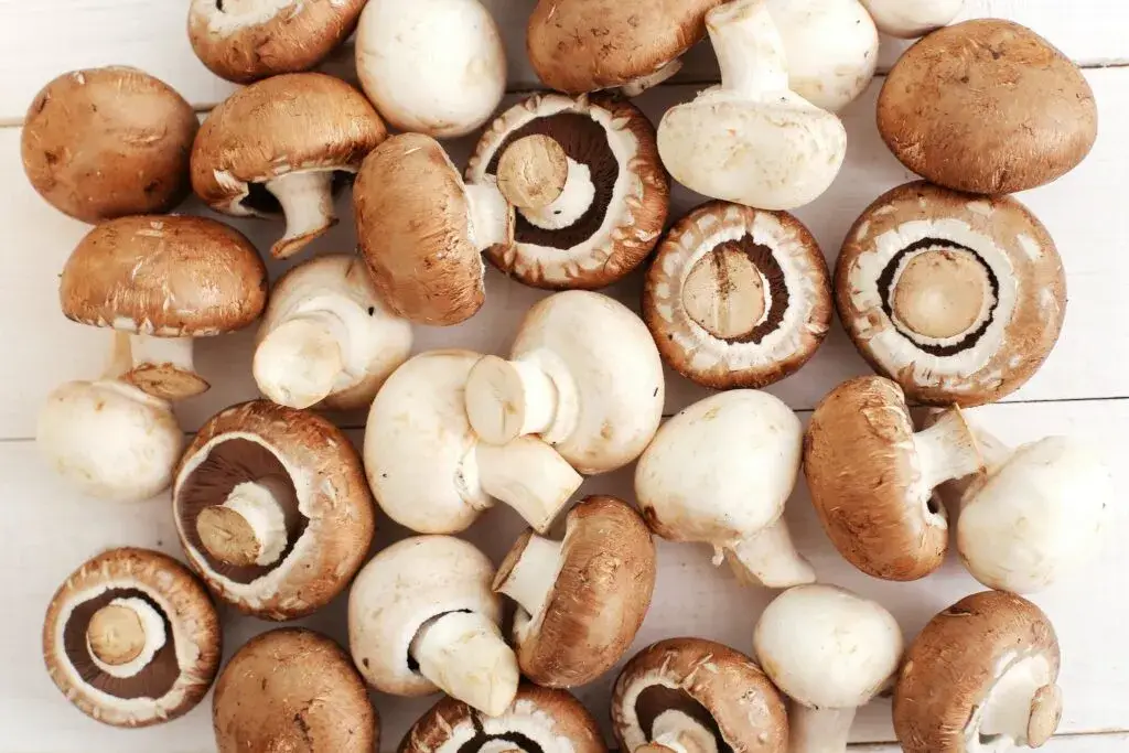 can you freeze portobello mushrooms